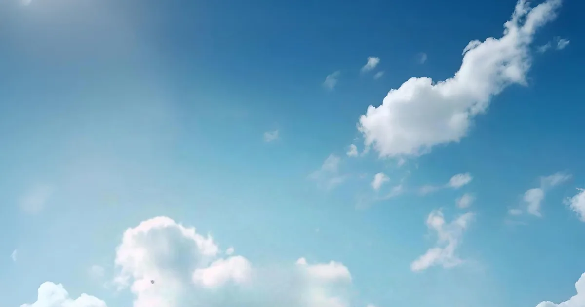Wingman by Emergent IT agencies solution interface